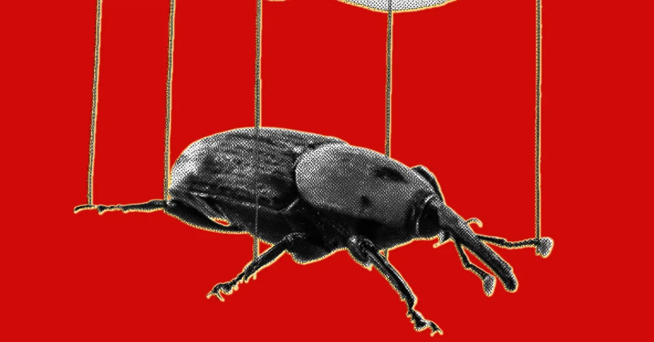 Уязвимости PHP2Shell: как ИИ превращает старые баги в угрозу